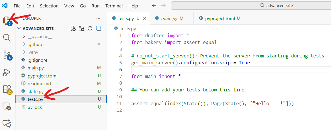 VS Code File Explorer showing tests.py file